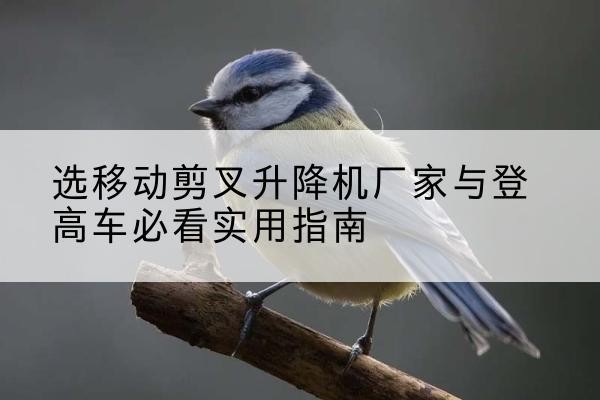 凤县电动升降机厂家-选移动剪叉升降机厂家与登高车必看实用指南