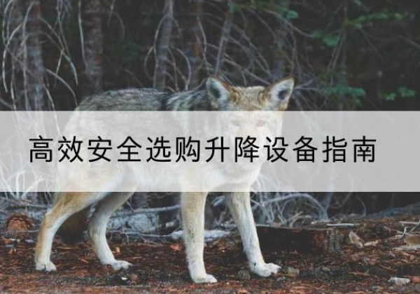 凤县升降货梯厂家推荐-*安全选购升降设备指南