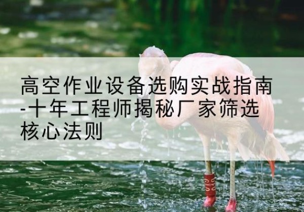 凤县剪叉式升降机厂家-高空作业设备选购实战指南-十年工程师揭秘厂家筛选核心法则