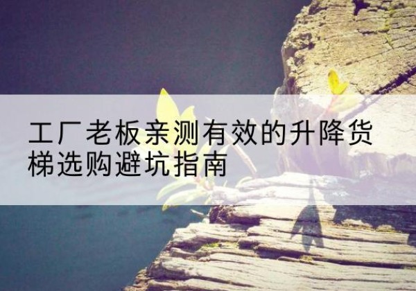 凤县升降货梯怎么选-工厂老板亲测有效的升降货梯选购避坑指南
